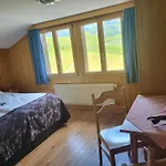 Hahnenmoos *