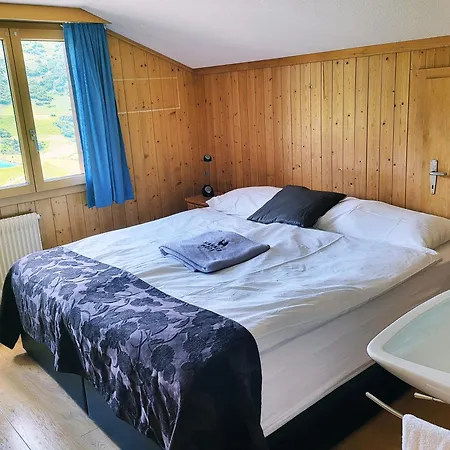 Hahnenmoos Hotel Adelboden