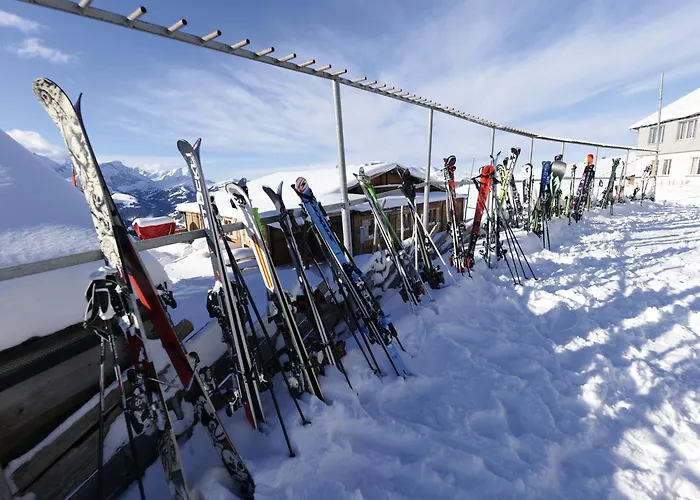 Hahnenmoos * Adelboden